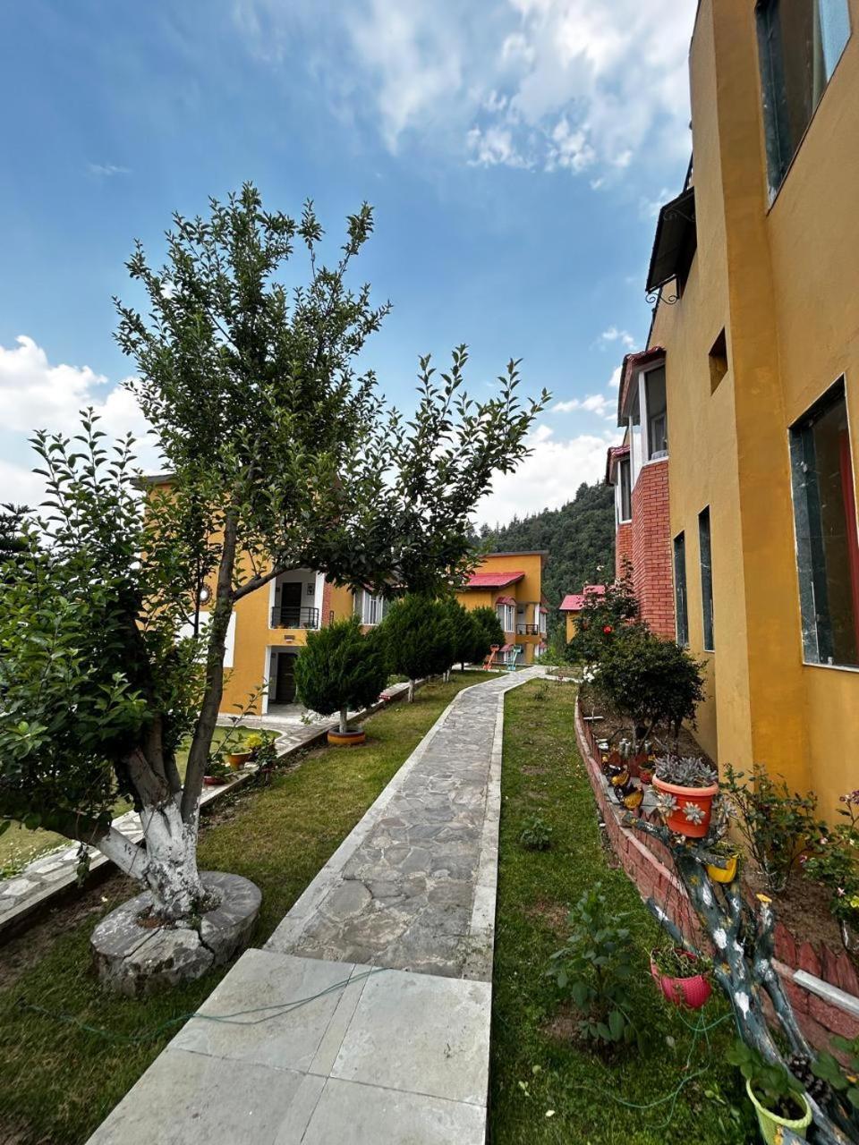 Mist n Meadows Resort Rājgarh Exterior foto